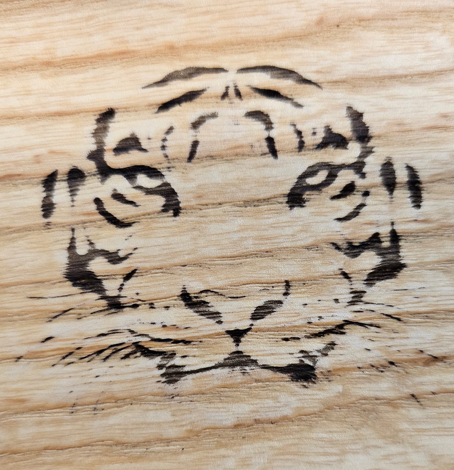 C. Peering tiger
